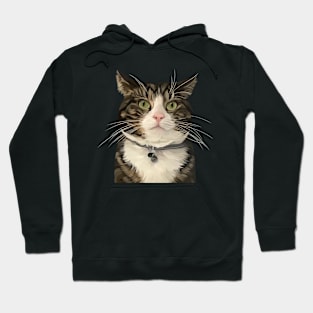 Cute cats and kitten Hoodie